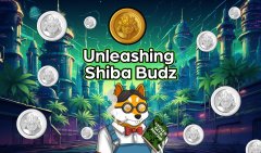 Bitpie|Shiba Budz 准备席成交量加密货币世界